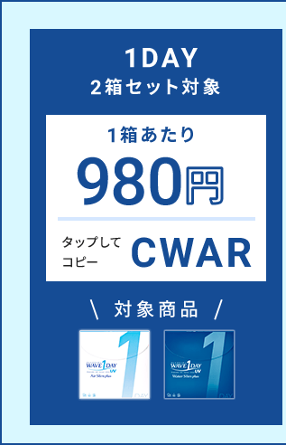 1DAY 2箱セット対象クーポン