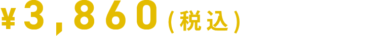 税込3,860円