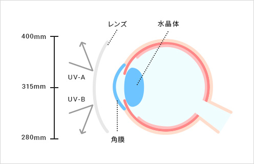 UVカット加工のレンズの画像